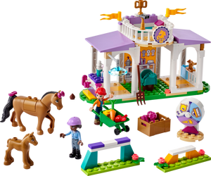 LEGO® Friends Horse Training 41746