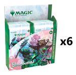 MTG Bloomburrow [x6] Collector Sealed Inner Case