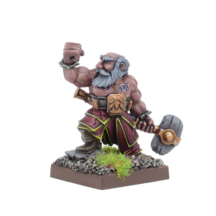 Dwarf: Stone Priest Model kit Mantic Games
