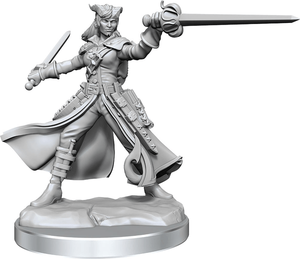 D&D Frameworks: W01 Tiefling Rogue Female Miniatures Alliance Games Distribution